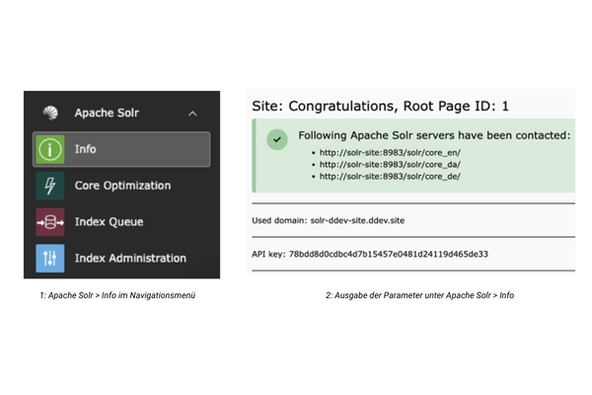 Screenshots Apache Solr Backend