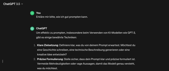 Screenshot Beispielprompt